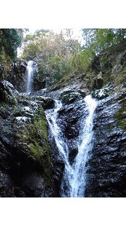 20110304_R 041.jpg