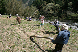 IMG_2384.JPG
